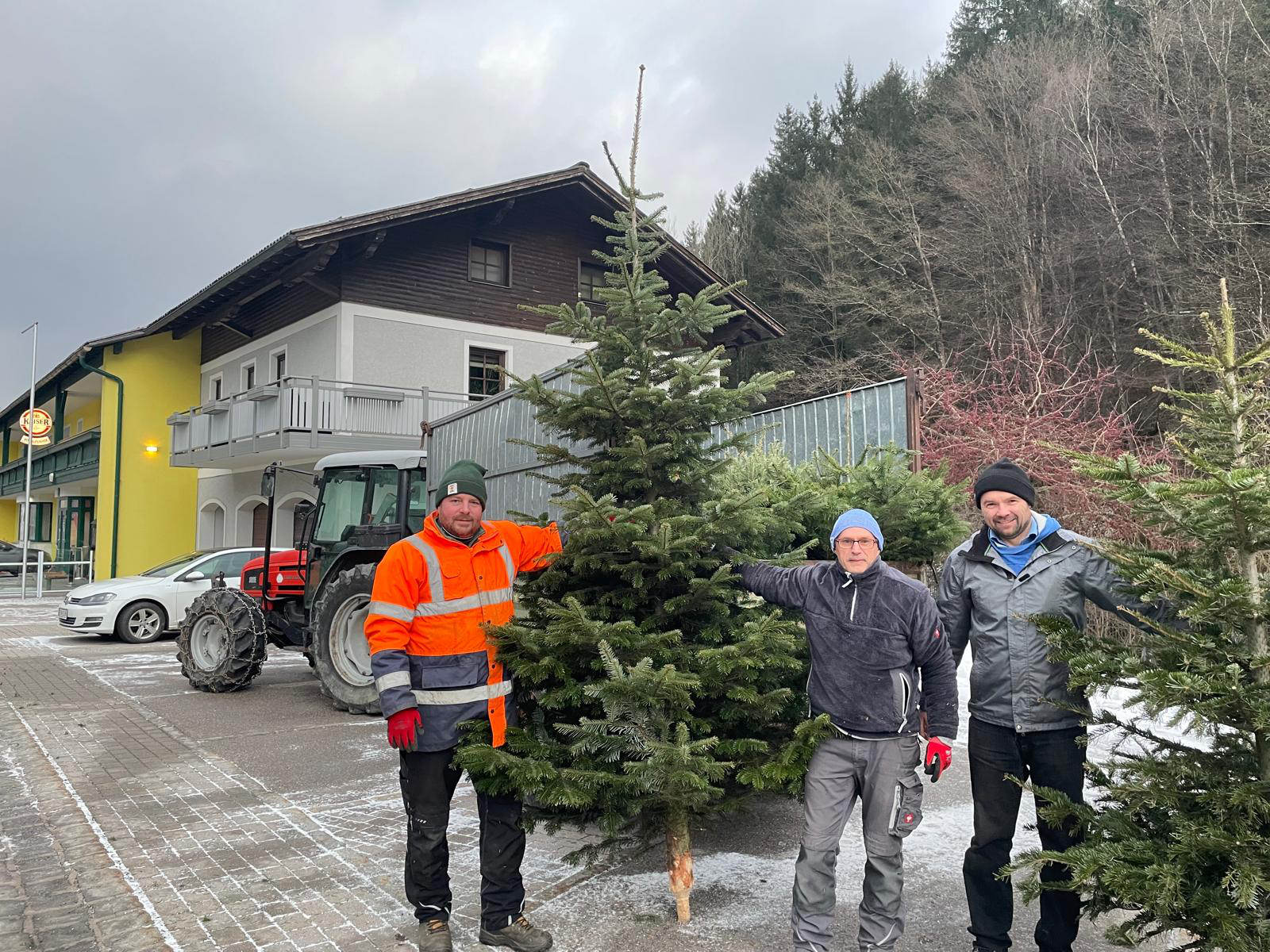 Christbaumabholaktion 2025
